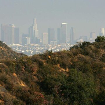 wellness-retreats-usa:-why-do-stars-like-rebel-wilson-and-lea-michele-love-the-ranch-malibu?